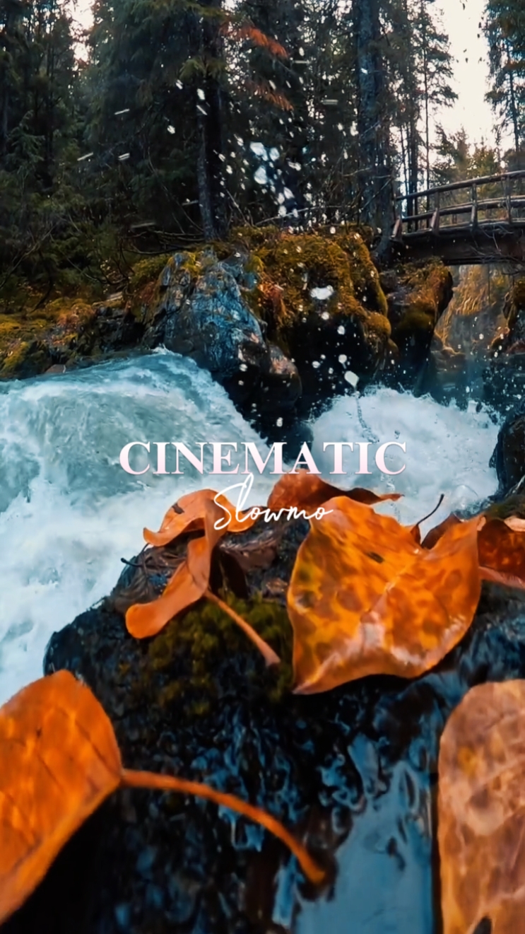 Cinematic 