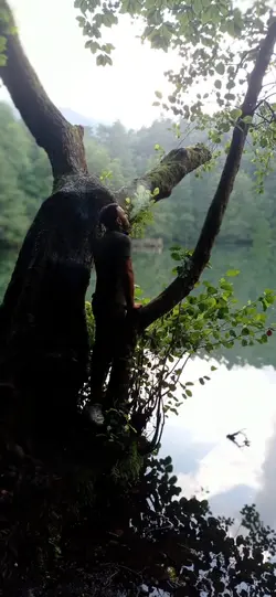 Karadeniz 