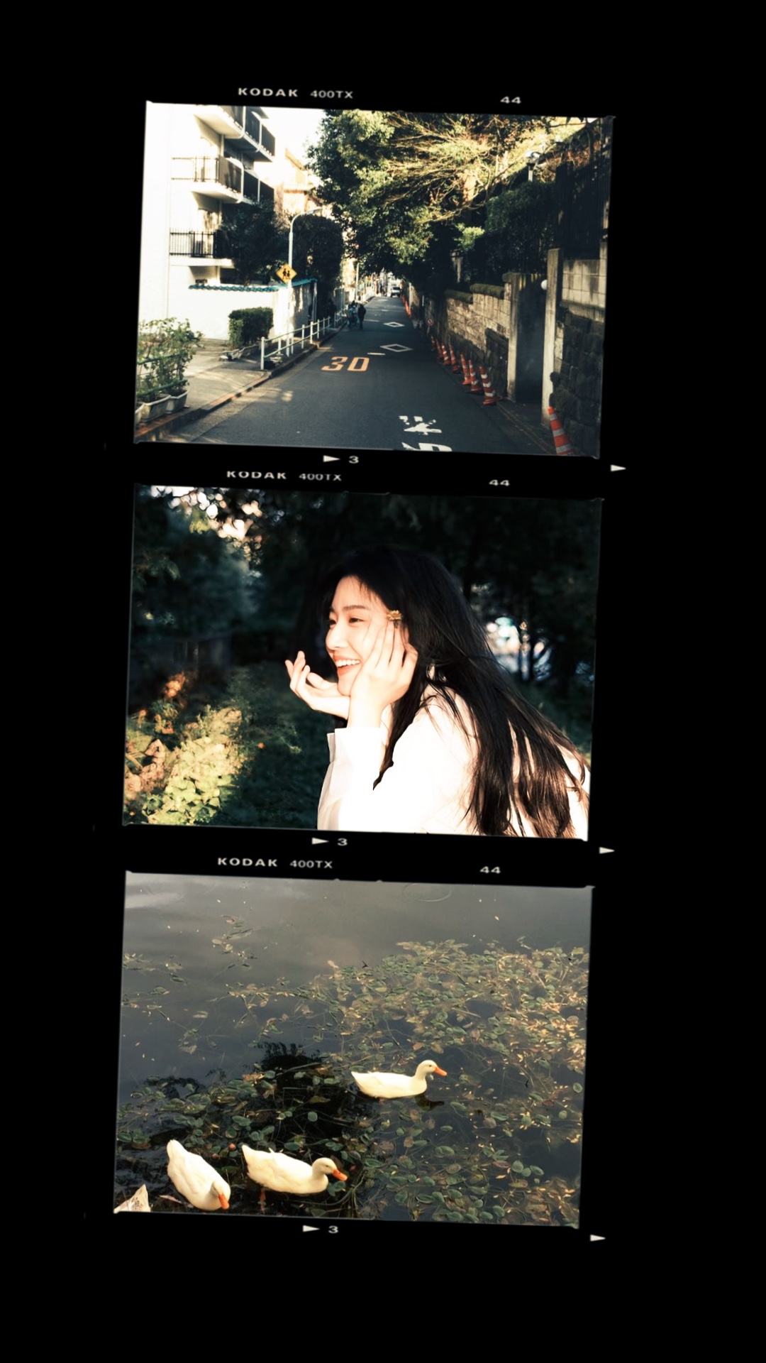 3 frame