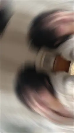 三段節奏給我,照片交給你