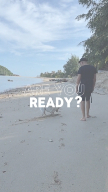 ARE YOU READY 
