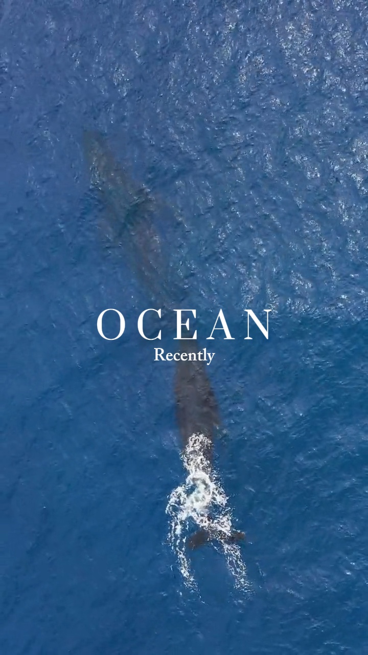 Oceano Recentemente
