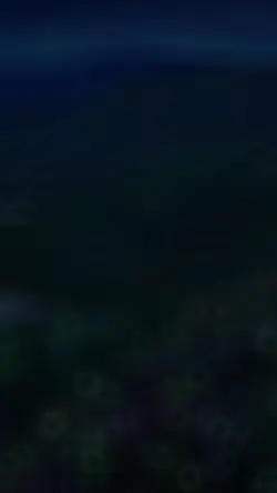 生活又什麼可比的呢 ？