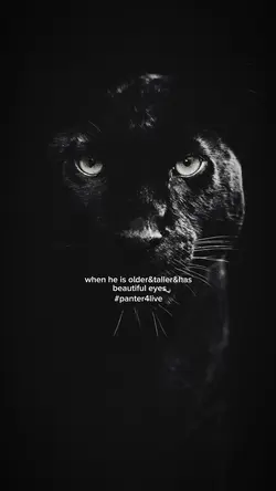 panter4livee.