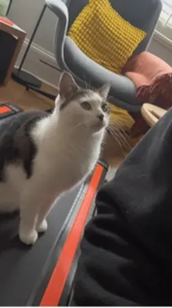 Look at me!