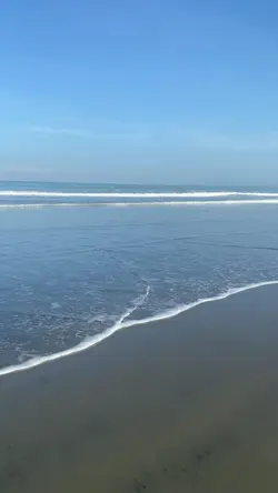 The Beauty of Nature