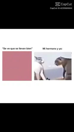 mi hermana y yo