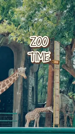 zoo time