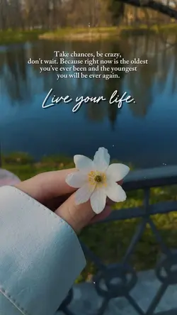 Live Your Lif