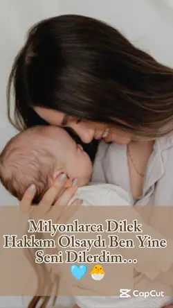Dilek hakkı