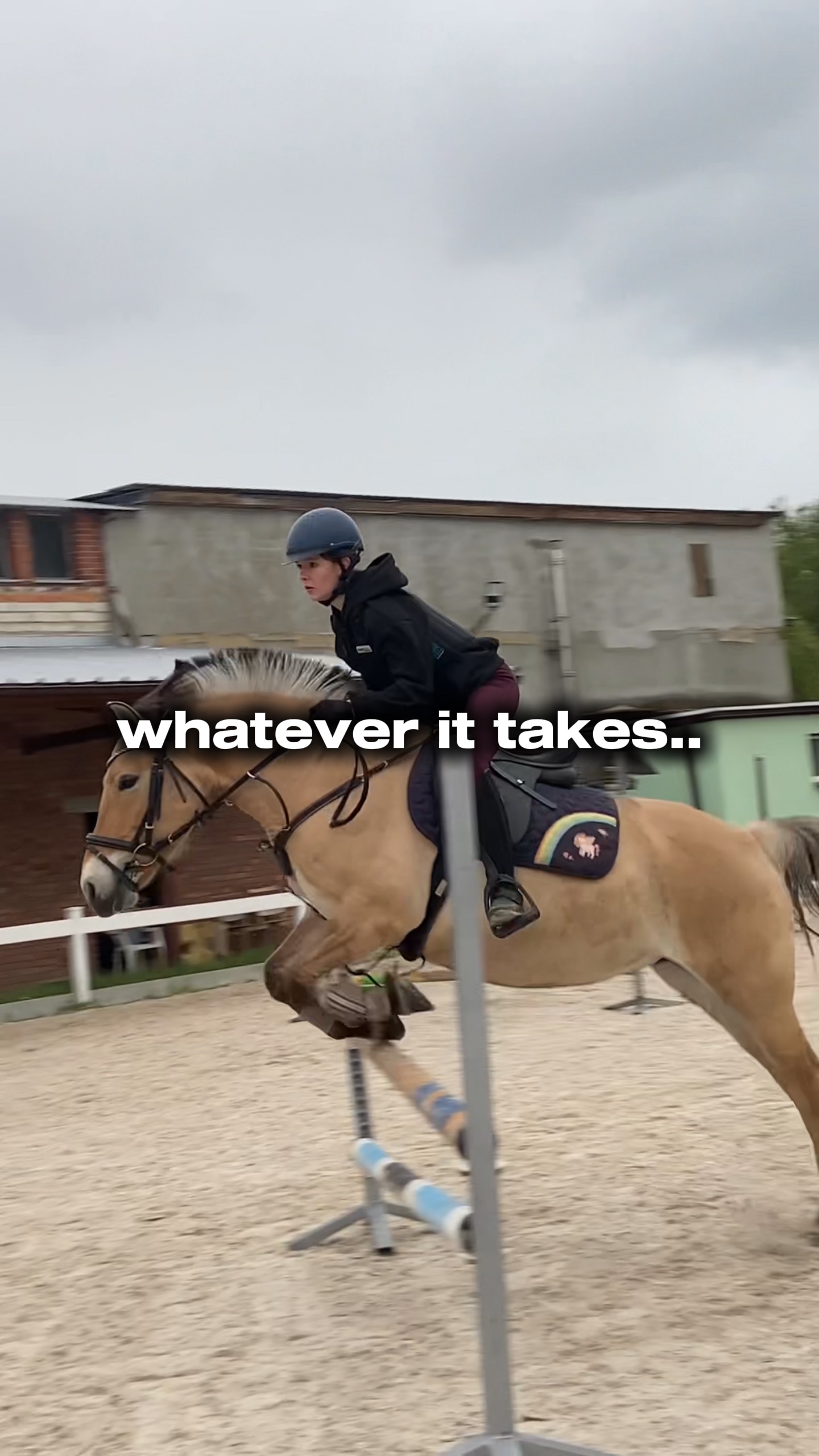 equestrian edit