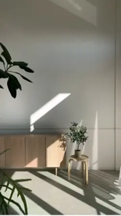 18 clip video