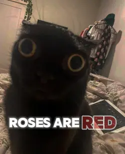 I'm  in ur house