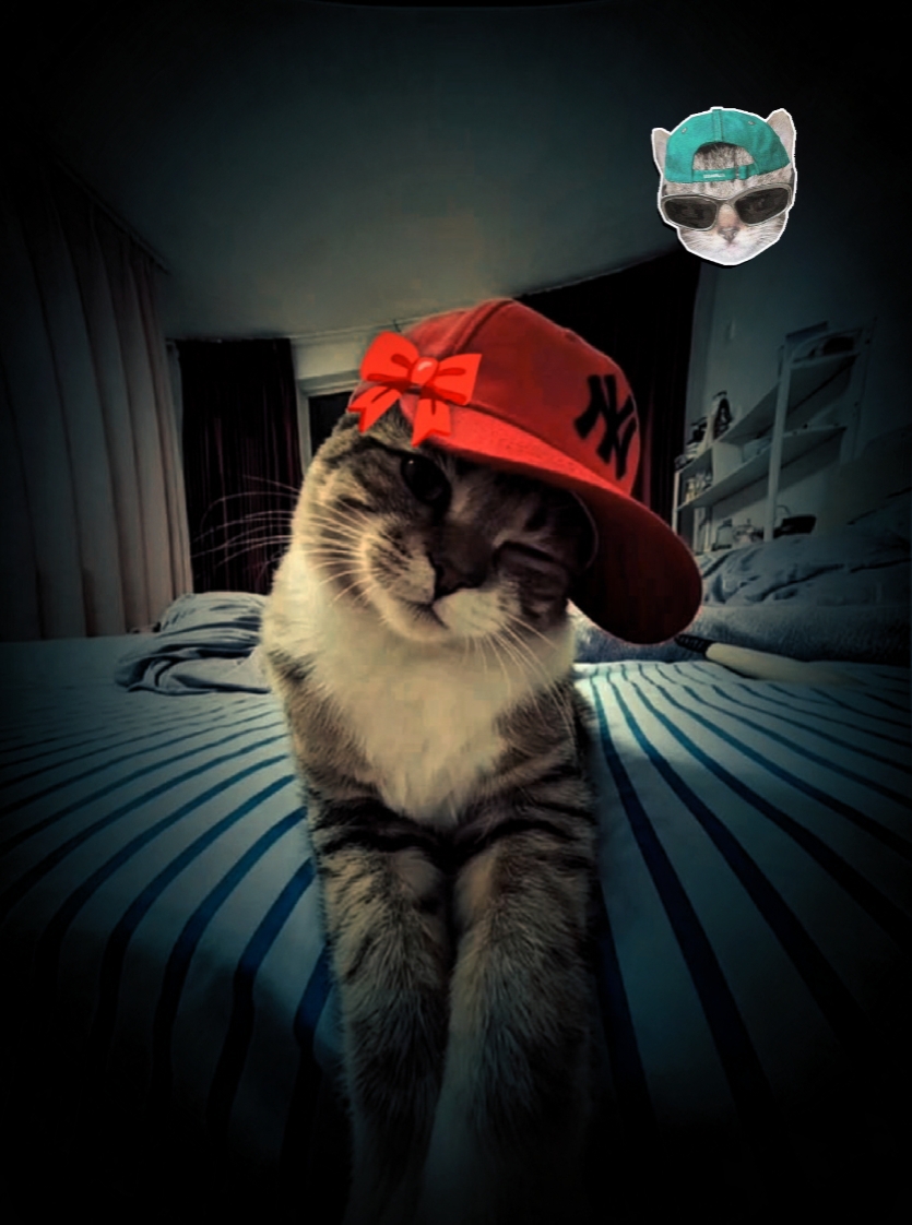 nouvelle tendance d'édition