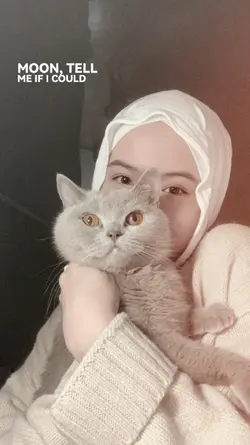moon tell me if i 