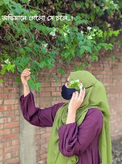 অভিমানে গেল যে চলে 