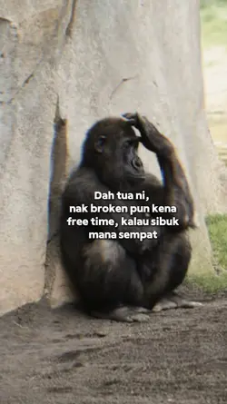 kata lawak