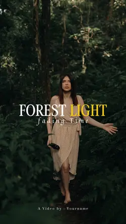 Forest Light 