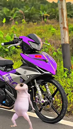 អេមយកៗ