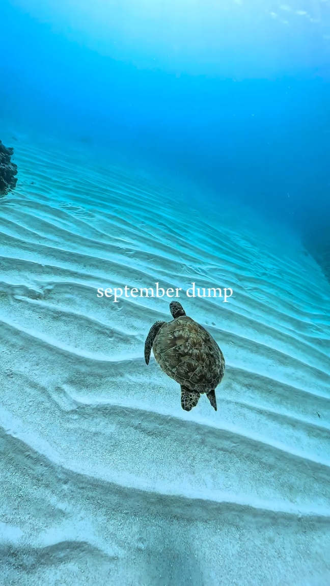 september dump
