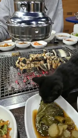 채식주의자