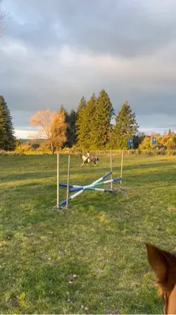 Jump looks so small😔