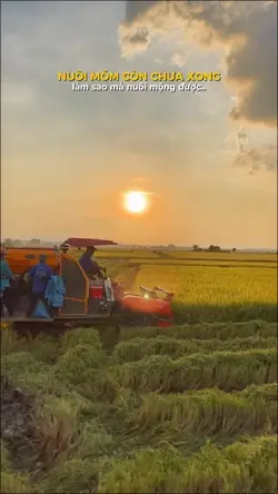 Nuôi Mồm Còn