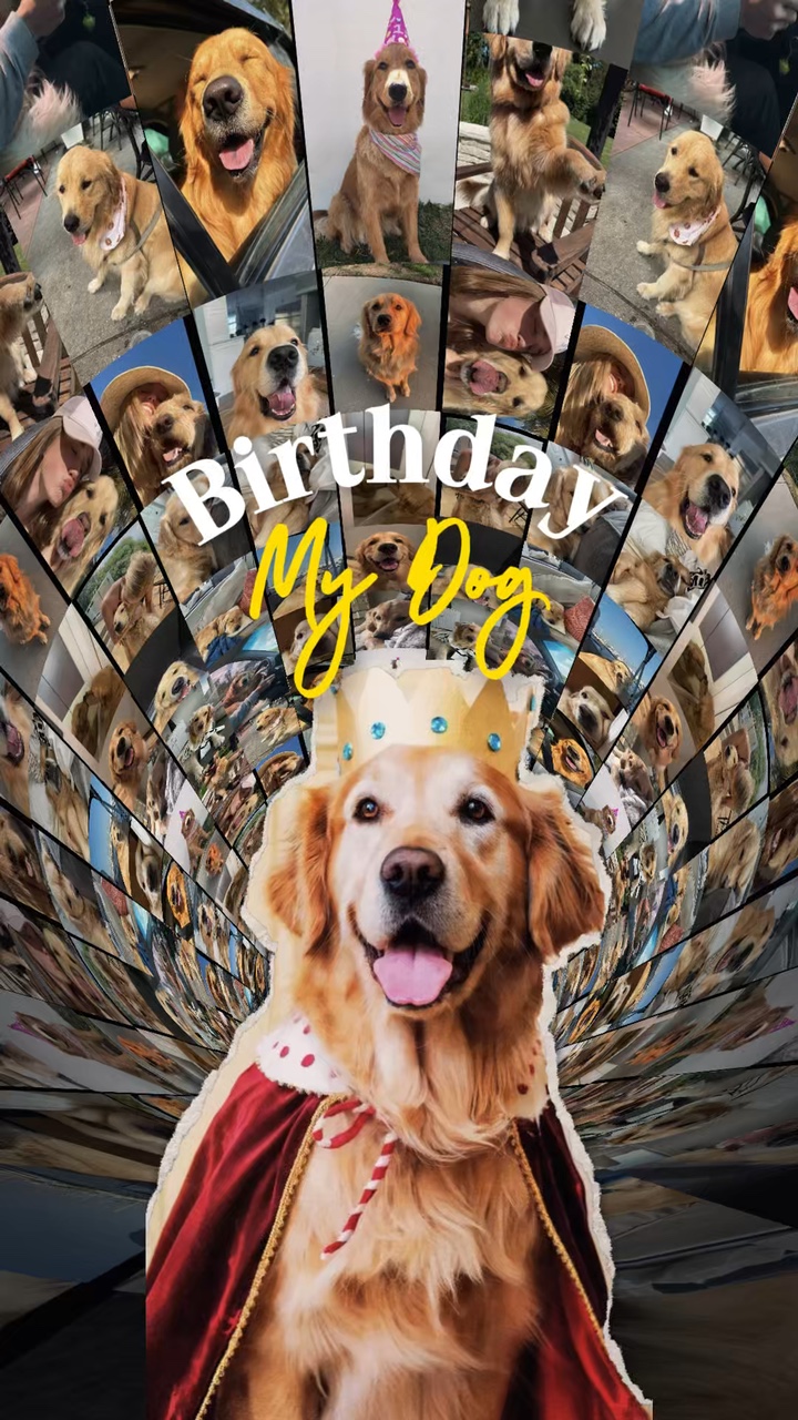 Aniversário meu cachorro 🐶 
