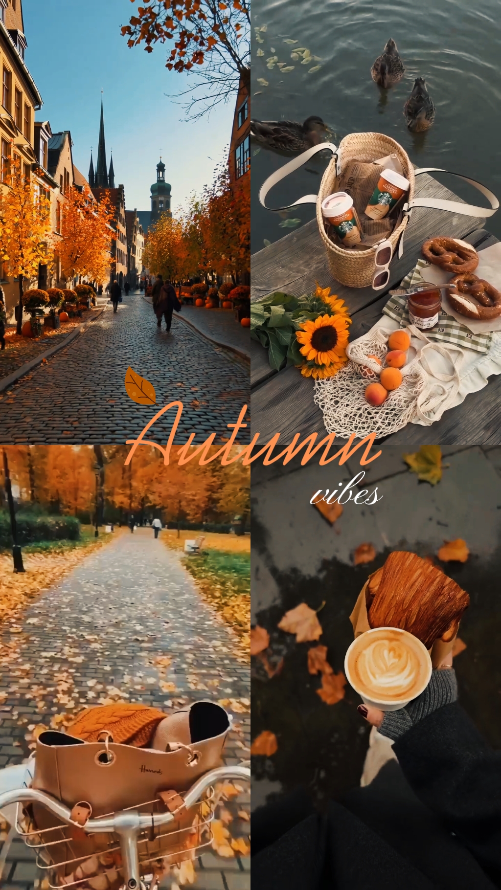 Autunn Vibes