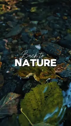 Back to Nature