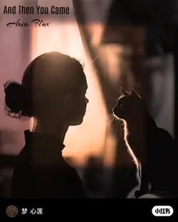 vídeo dinâmico 