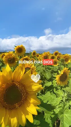 Gracias Dios