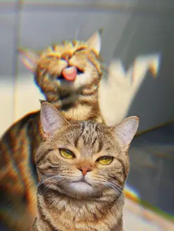 phonk tiki tiki beat