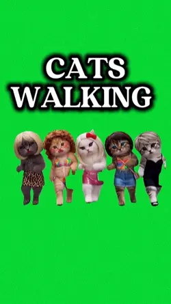 CATS