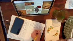 visual diary vlog