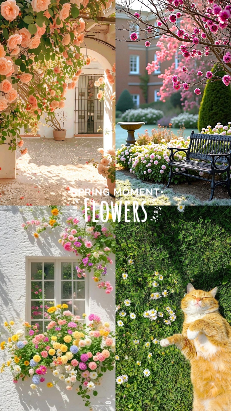 Fleurs