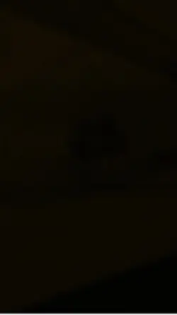 Danza Kuduro 