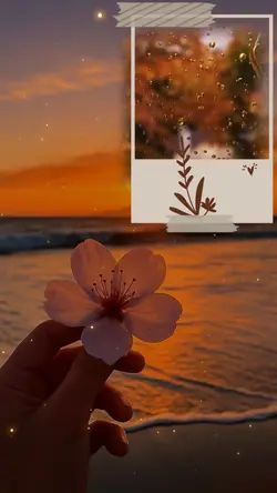 Feliz viernes 🙏✨✌️💕