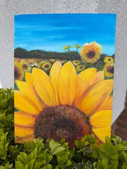 Sunflower