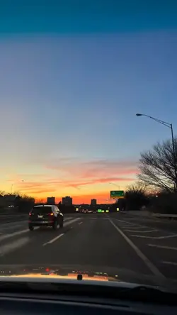 Dancing in the sky 🕊️