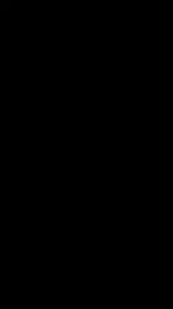 Black Screen
