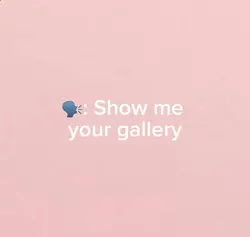 My gallery