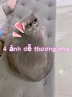 Dành cho các ní cute