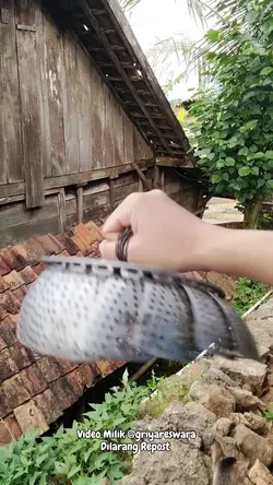Kukusan Fleksibel 