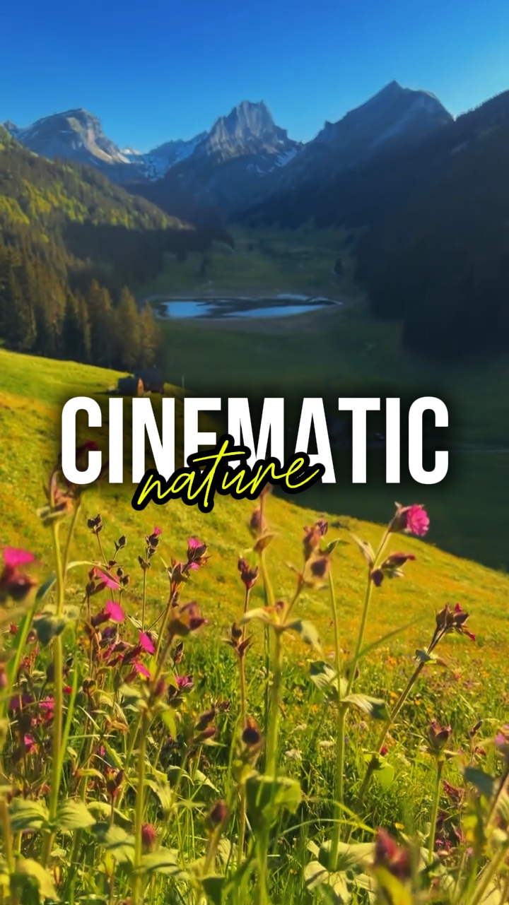 KINEMATISCHE NATUR