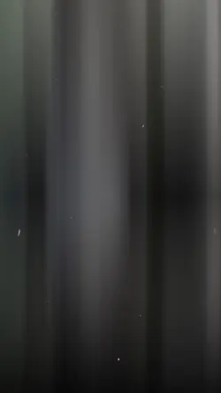 กำลังฮิตในtiktok 