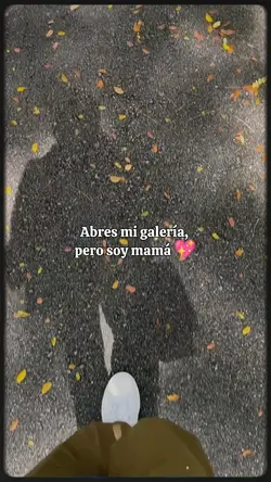 abres mi galeria