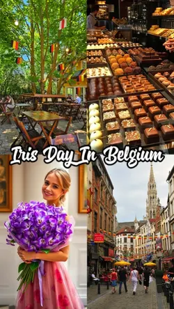 Iris Day In Belgium 