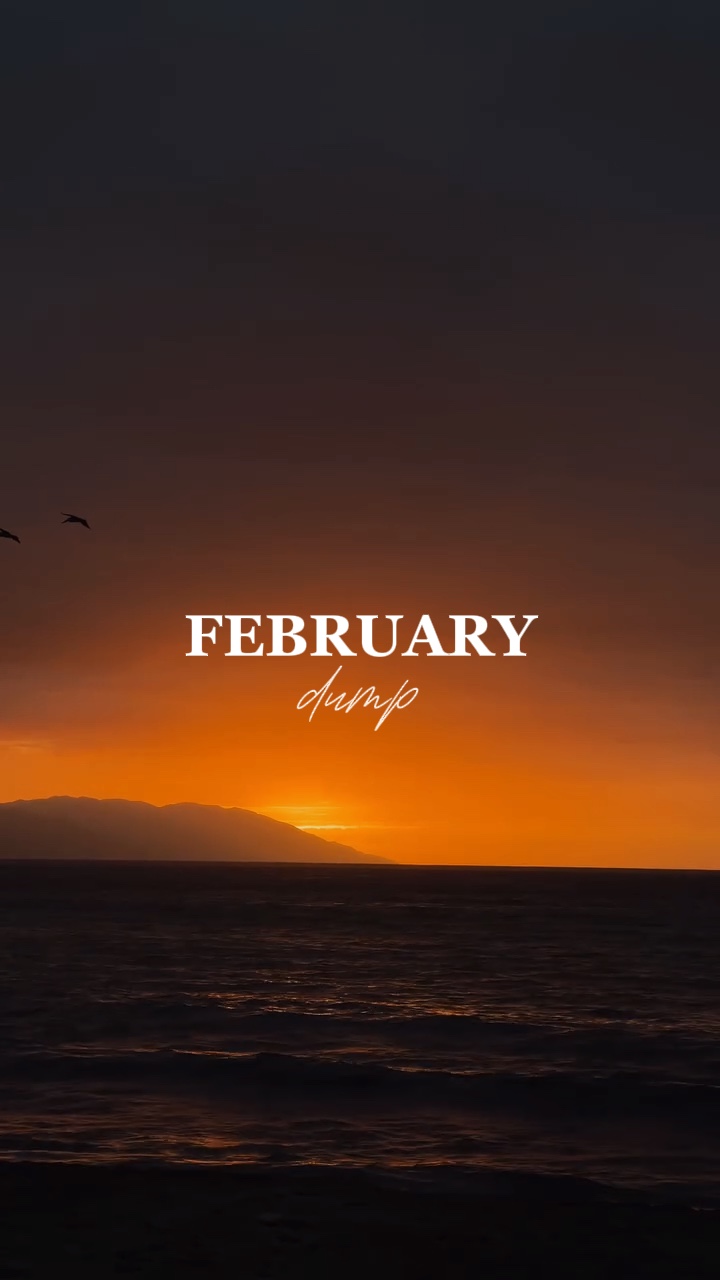 Volcado de febrero de 2025