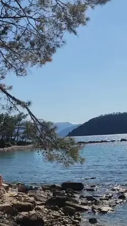 Yalnızlık